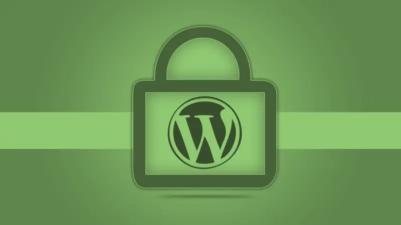 wordpress security 3 Security Plugins