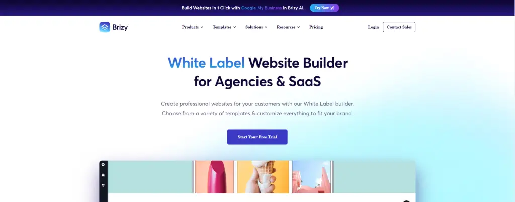 image 11 Brizy Page Builder
