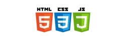 CUSTOM WEB DEVELOPMENT