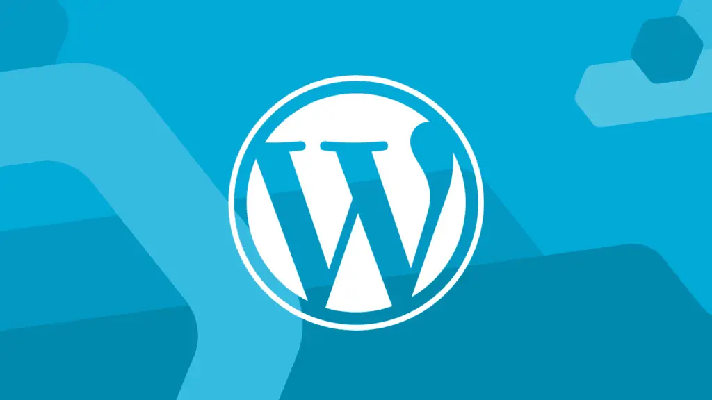 How to Disable Auto Excerpt on WordPress