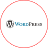 WordPress Development Services WordPress Development Services